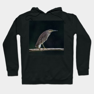 Green-Backed Heron Hoodie